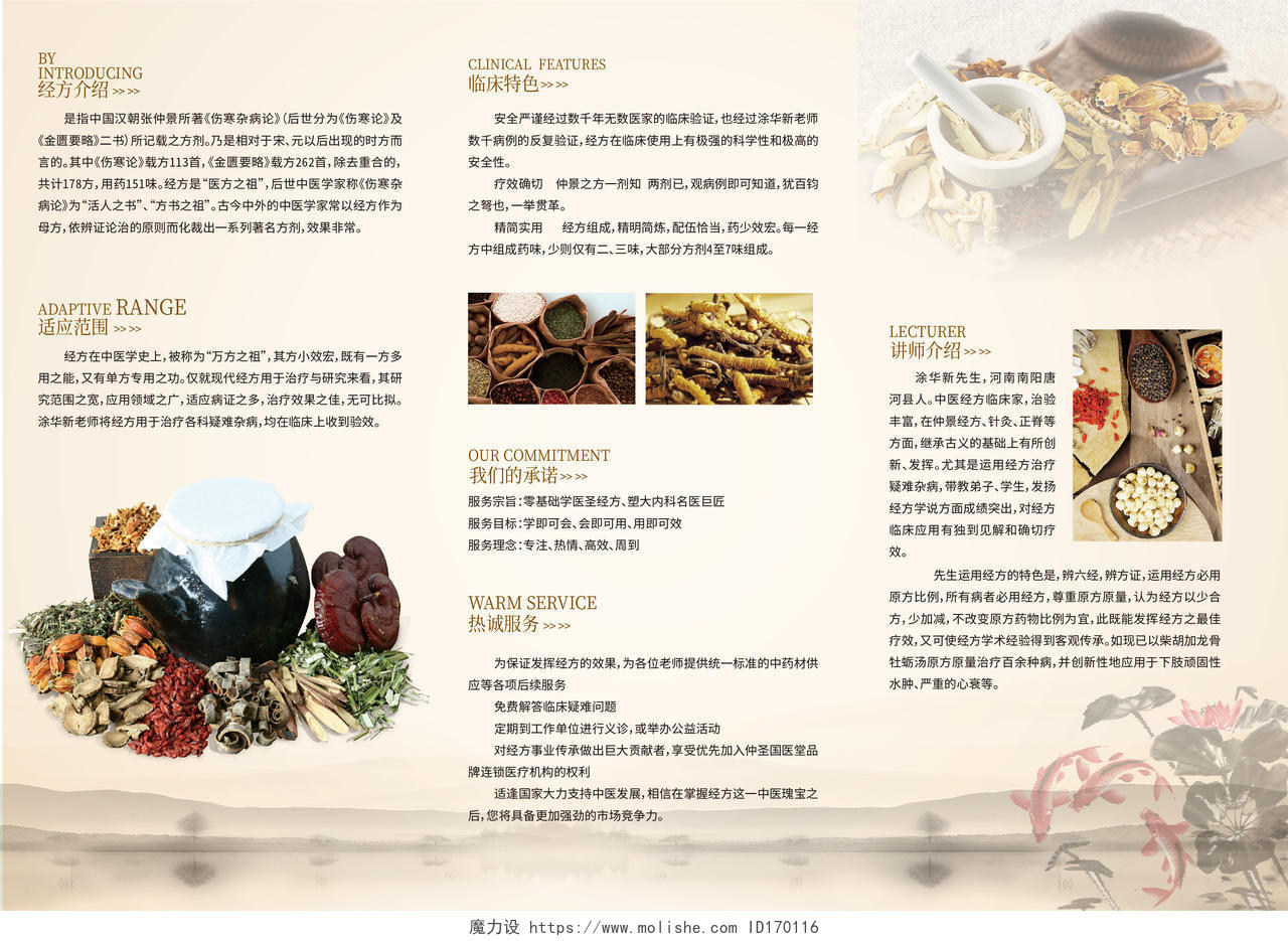 公司介绍中国风中药中医养生产品宣传三折页